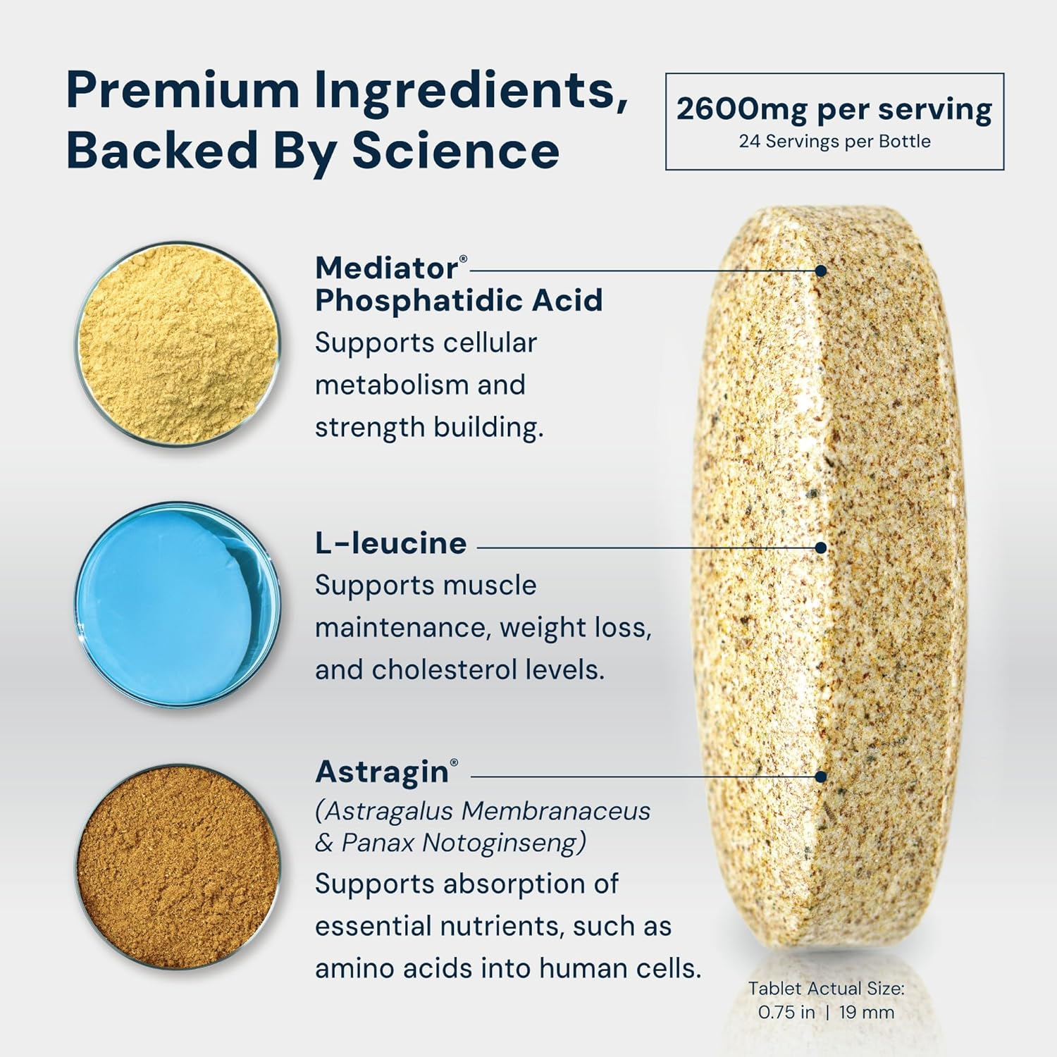 HPN PA(7) Phosphatidic Acid Muscle Builder Top Natural Muscle Builder - Boost Mtor | Build Mass and Strength from Your Workout | 30 Day Supply